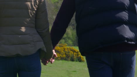 mature couple taking golden retriever for walk shot on r3d