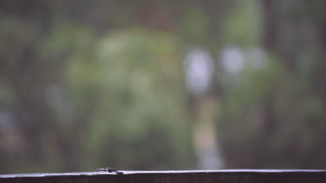 raindrops falling on wooden railing