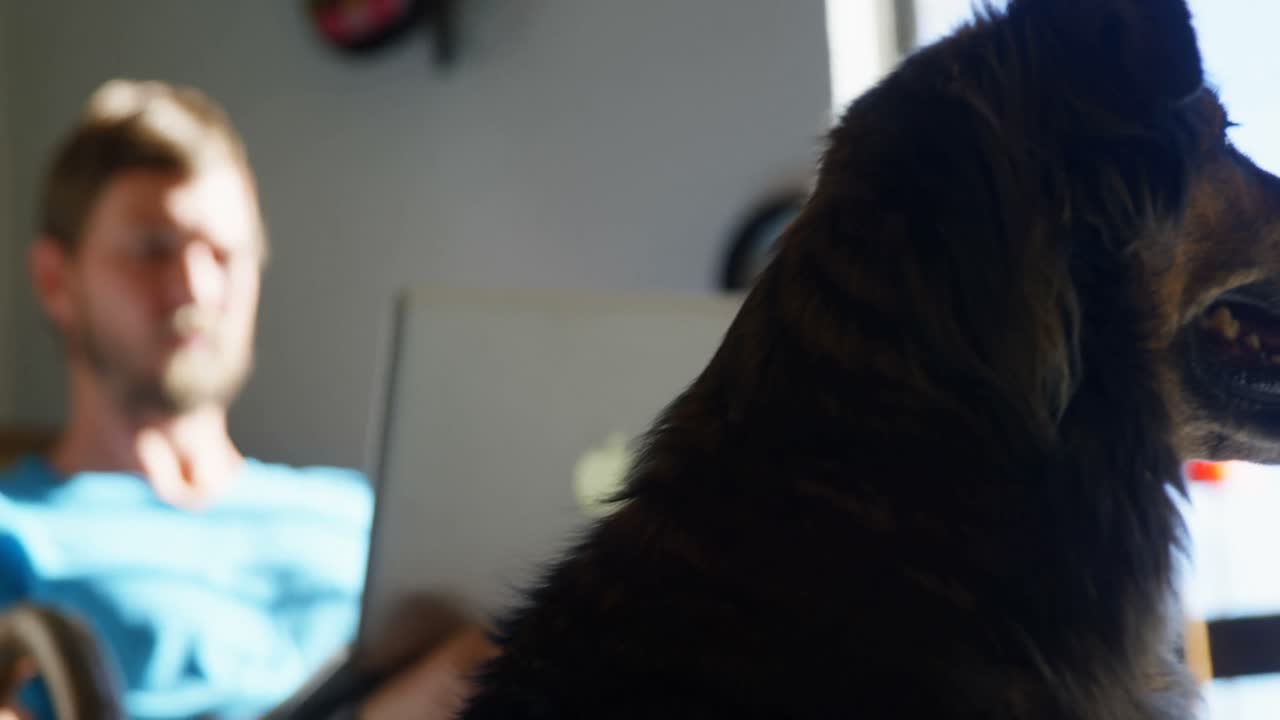 노트북 4k를 사용하는 개와 함께 한 남자