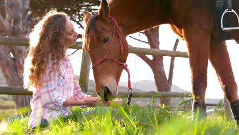 mujer alimentando a un caballo