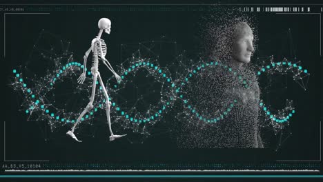 animación de cadena de adn y procesamiento de datos con cuerpo de esqueleto humano formado con partículas explosivas