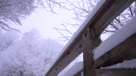 Dolly-Pan-Shot-Im-Wunderbaren-Winterlichen-Ostkanadischen-Berg