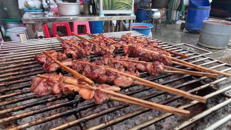 cooking meat skewers on a charcoal grill