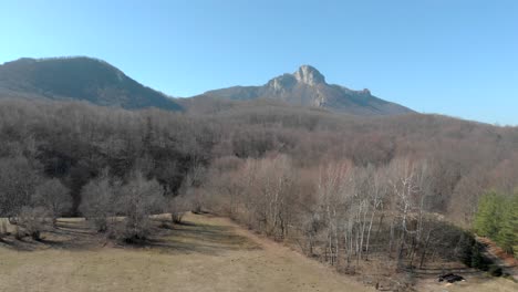 Aerial View of Mountain and Forest Landscape