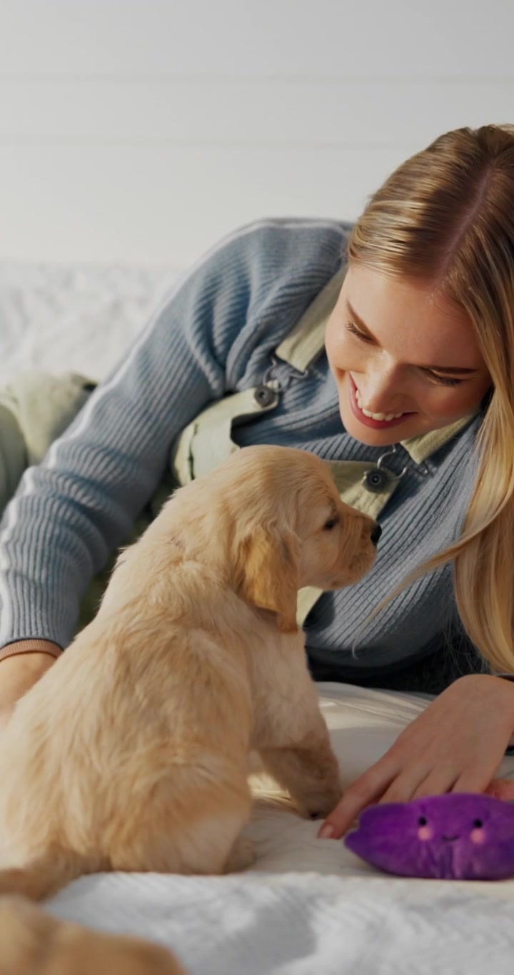 Young Woman Playing with Golden Retriever Puppies on Bed