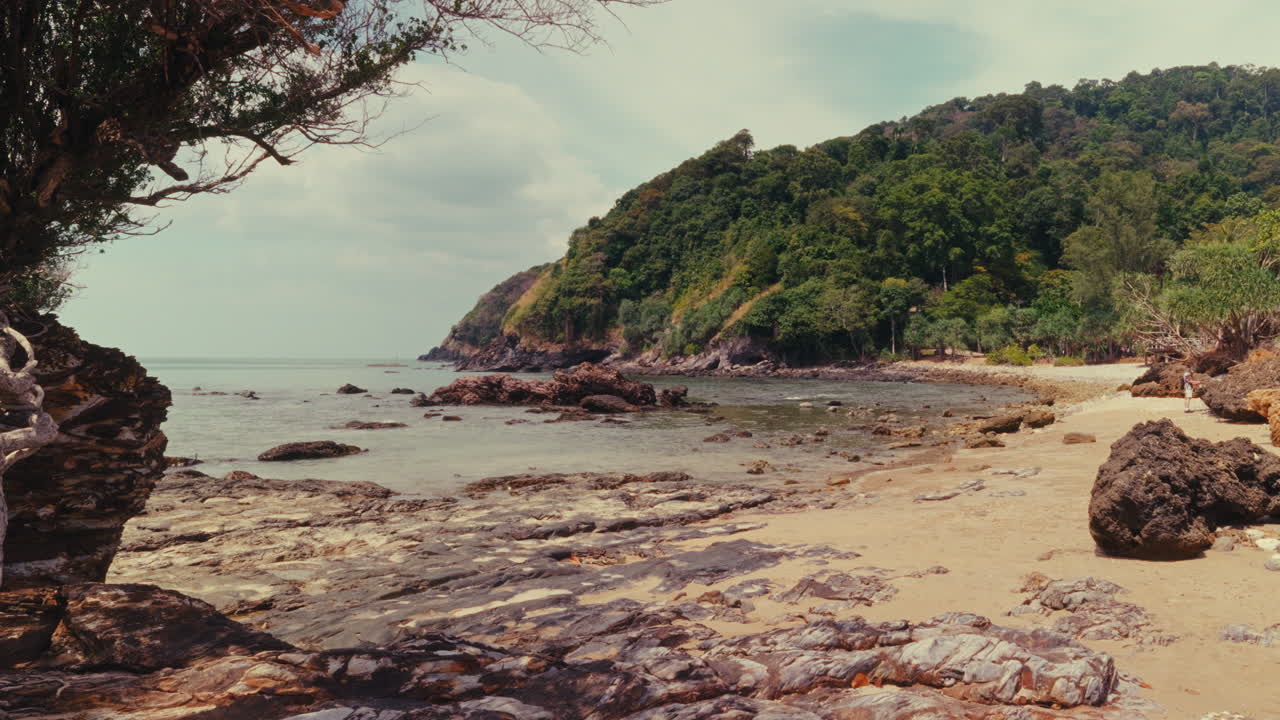 Tropical Beach with Lush Jungle Landscape