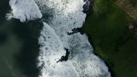 Aerial-drone-footage,-bird-view-of-a-rice-field-on-the-coastline-in-Bali