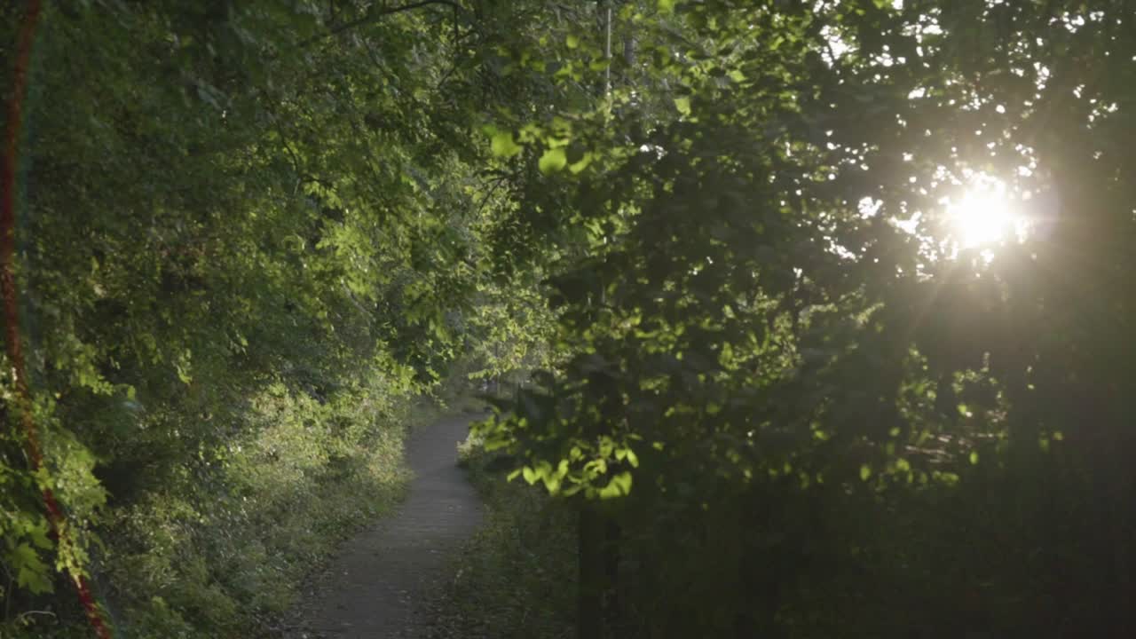 자연 속의 놀라운 순간
