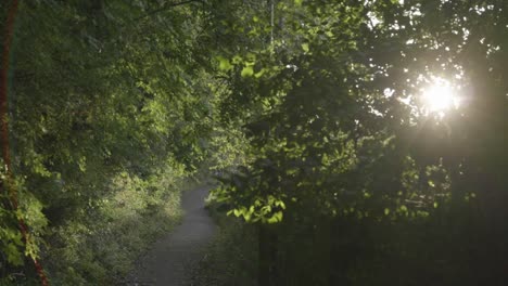 un momento impresionante en la naturaleza