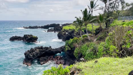 a scenic, picturesque view of the hawaiian rocky coastline