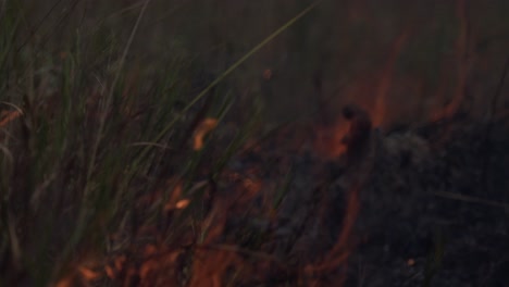 Drought-and-deforestation-result-in-wildfires-in-the-Amazon-rainforest---panning-shot-of-burning-brush