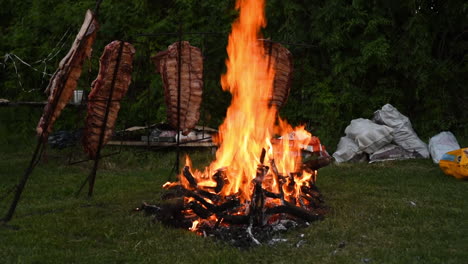 carne asada en juego por un gran fuego de campamento por la noche
