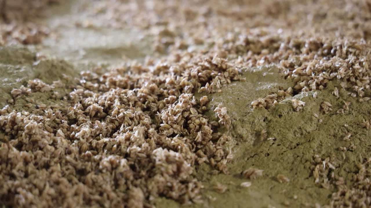 공장에서 맥주를 만드는 곡물