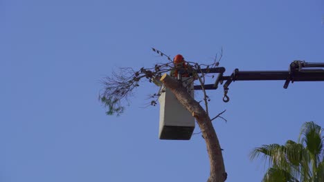 worker-cutting-down-a-tree-with-a-chainsaw-in-the-city,-repairs-after-the-storm-in-blanes