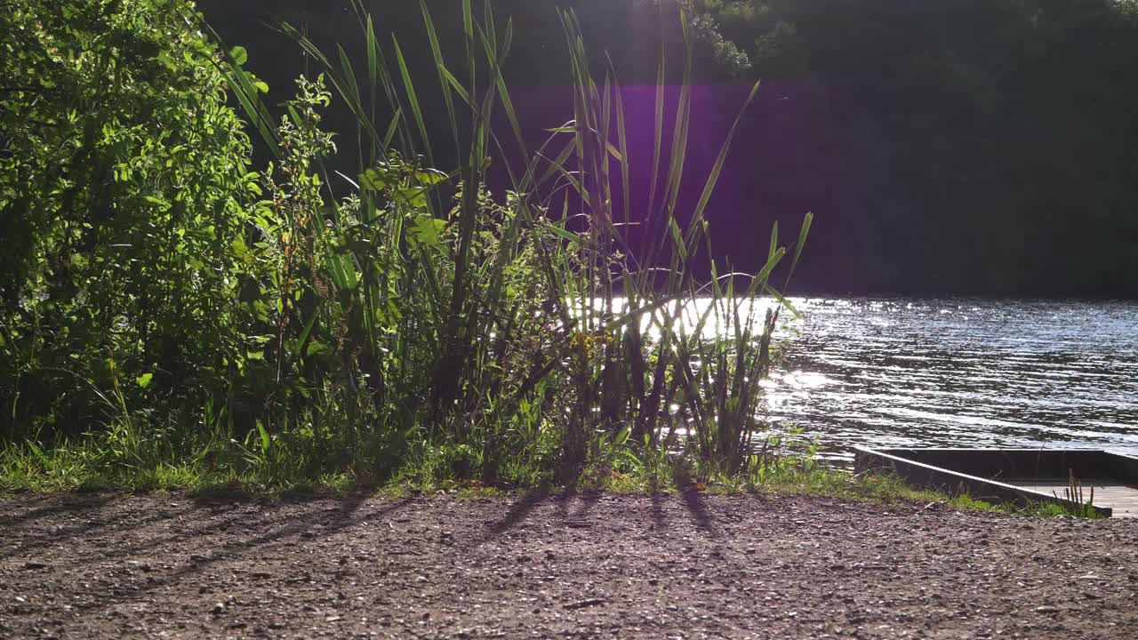 Legs of walkers walking past lake side in warm weather