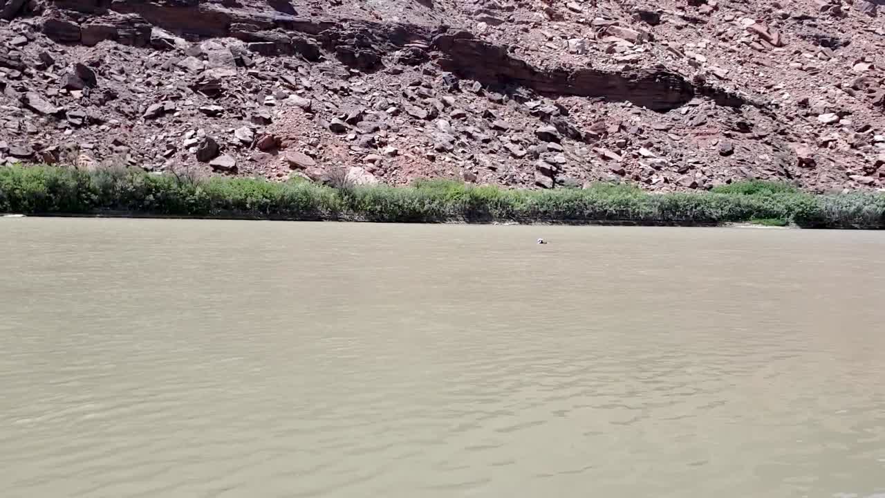 chico flotando en el río en utah