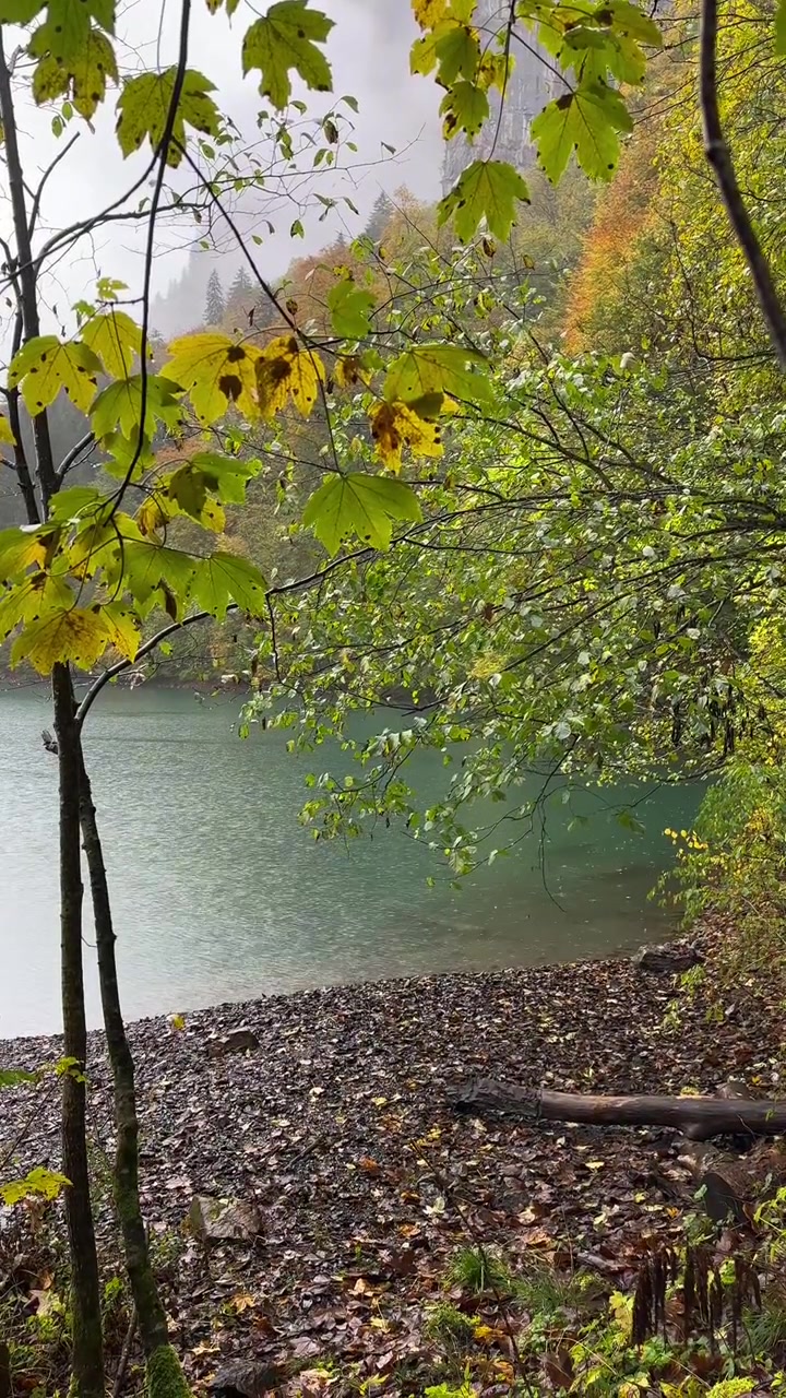 Hujan di tepi Danau Klöntalersee, Klöntal, Swiss, alam pegunungan Alpen Swiss, video vertikal