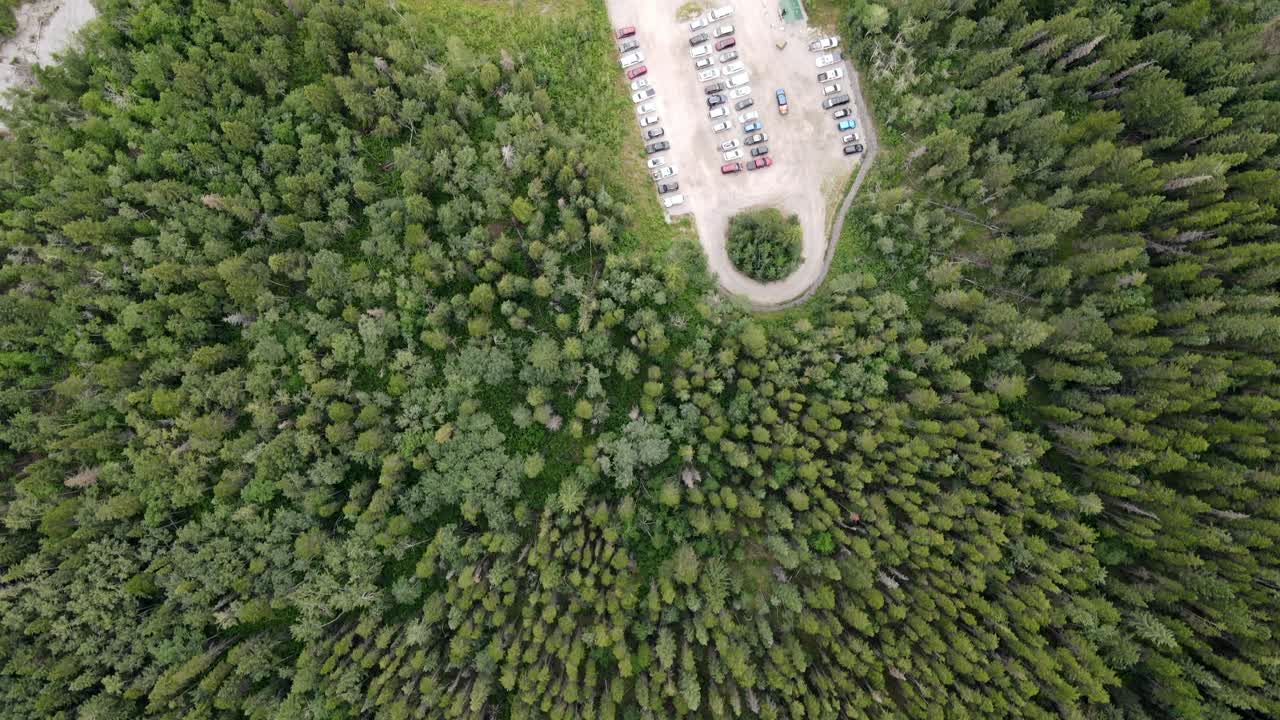 カナダ、アルバータ州の広大なカラマツ林を上から見下ろす眺め