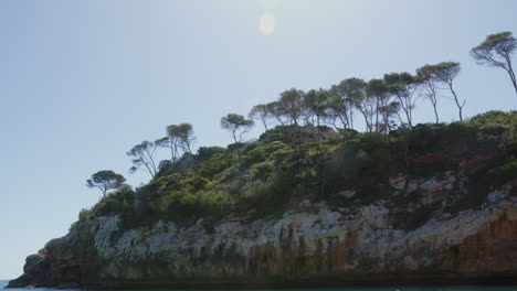 A-rocky-slope-adorned-with-green-plants-and-trees,-backlit-by-the-sun-creating-a-subtle-lens-flare,-capturing-the-raw-beauty-of-the-landscape