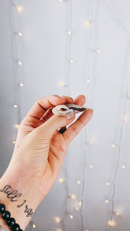 handheld triangular agate crystal