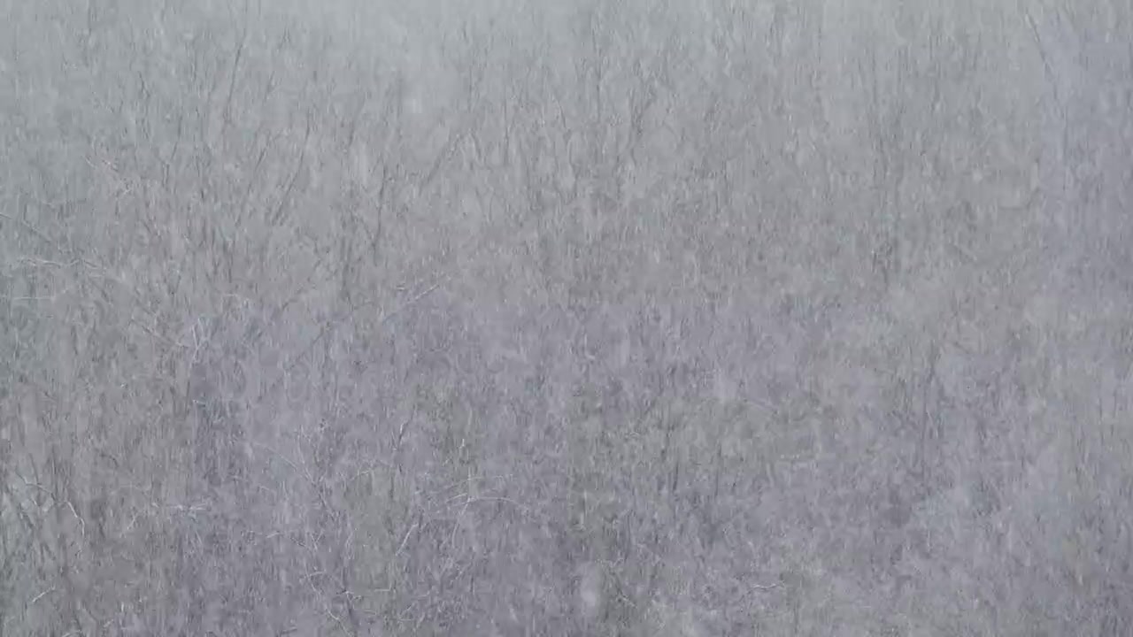 Blizzard in the winter.