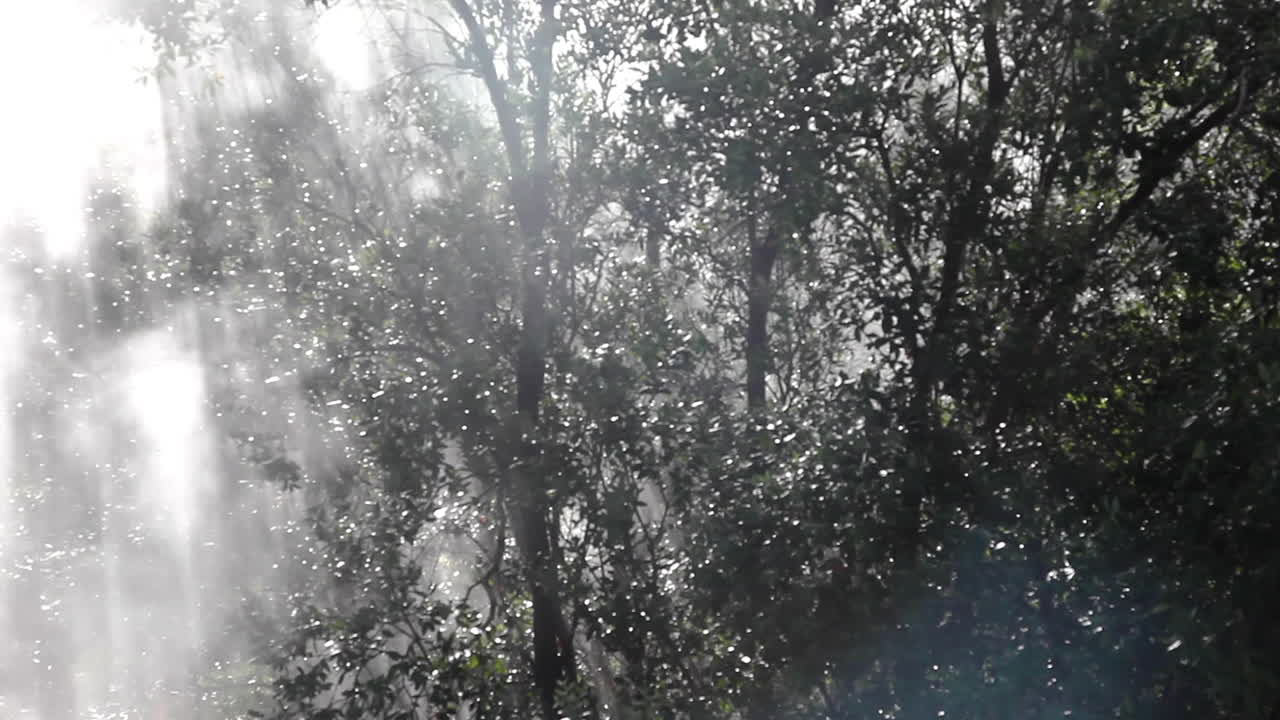 ordesa 계곡 스페인에서 부는 따뜻한 온천 증기