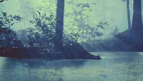 serene forest reflection on a tranquil water surface during misty morning