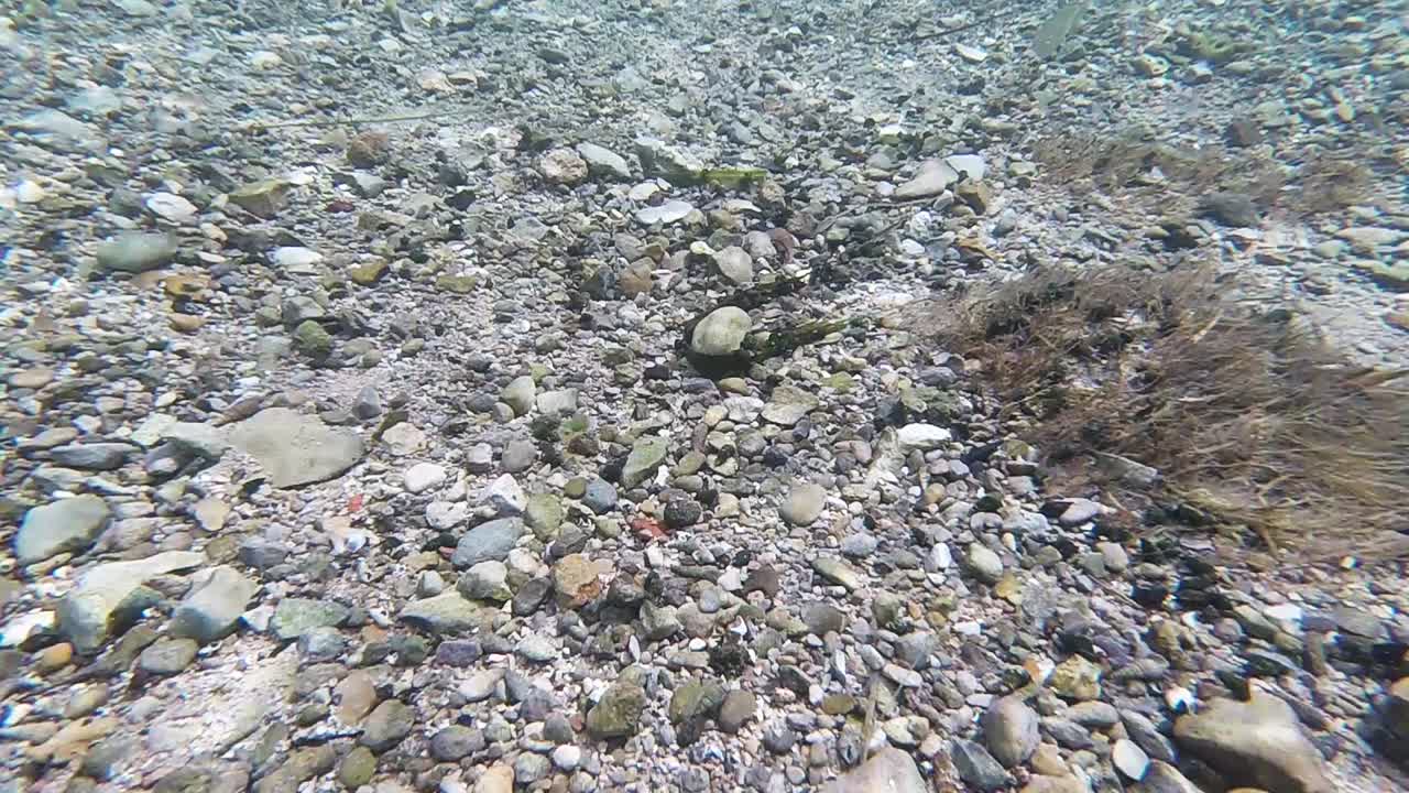 cauce del rio san marcos