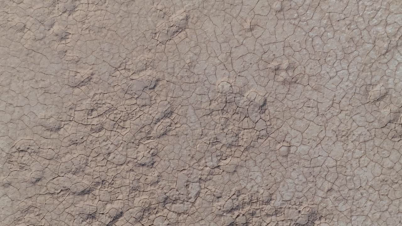 오스트레일리아의 아웃백 사막에서 건조하고 균열된 땅 위로 이동하는 새의 눈 시각 클립