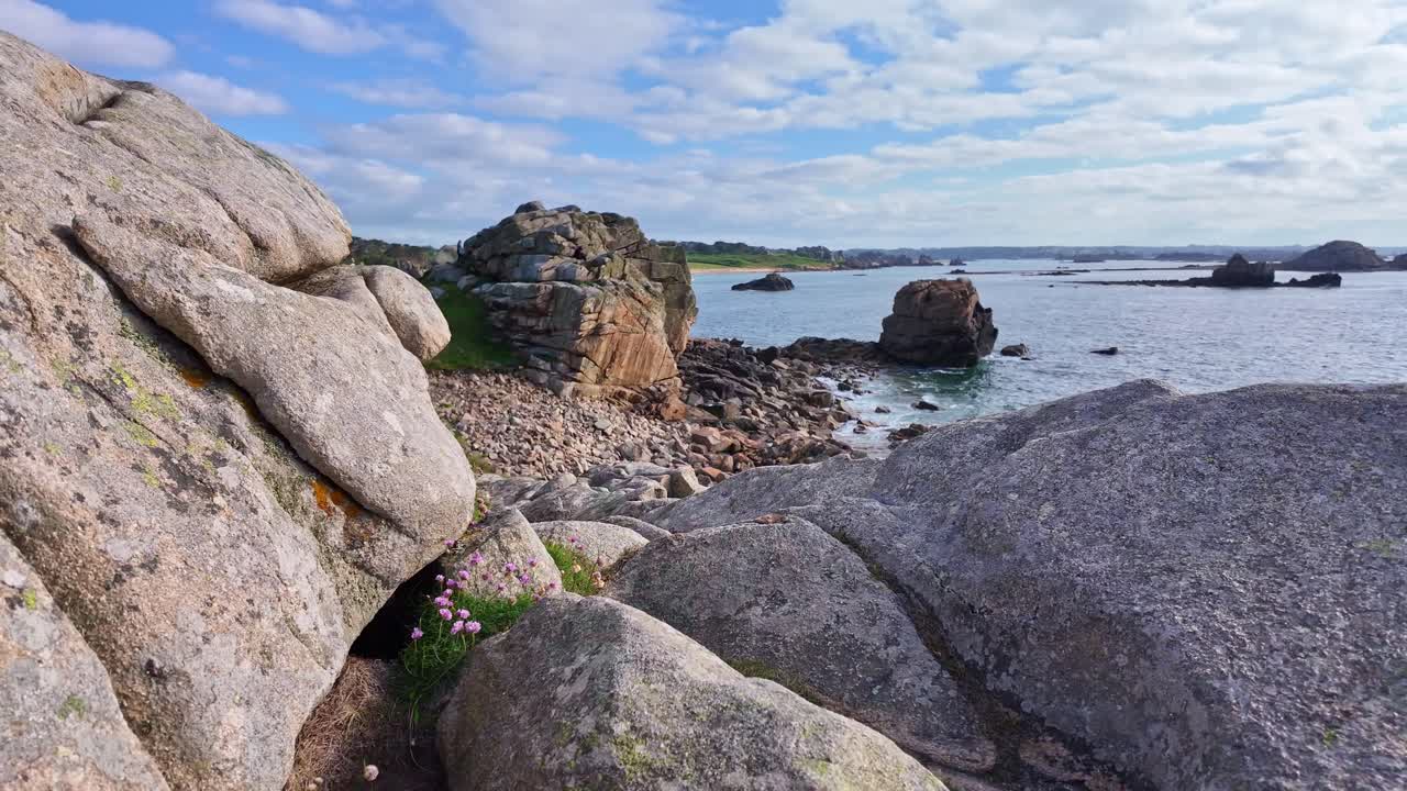 Plougrescant Chasm in Brittany—fractured granite cliffs with moss and purple wildflowers in foreground, rocky shoreline and calm sea under partly cloudy sky, sloe motion shot
