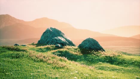 Wiese-Mit-Riesigen-Steinen-Im-Gras-Am-Hang-Bei-Sonnenuntergang