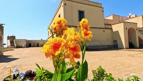 bright flowers bloom in a sunny courtyard