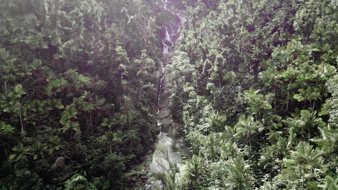 Waterfall with exposed rock faces in dense green Caribbean forest
