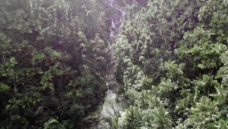 cascada con caras de roca expuestas en el denso bosque verde del caribe