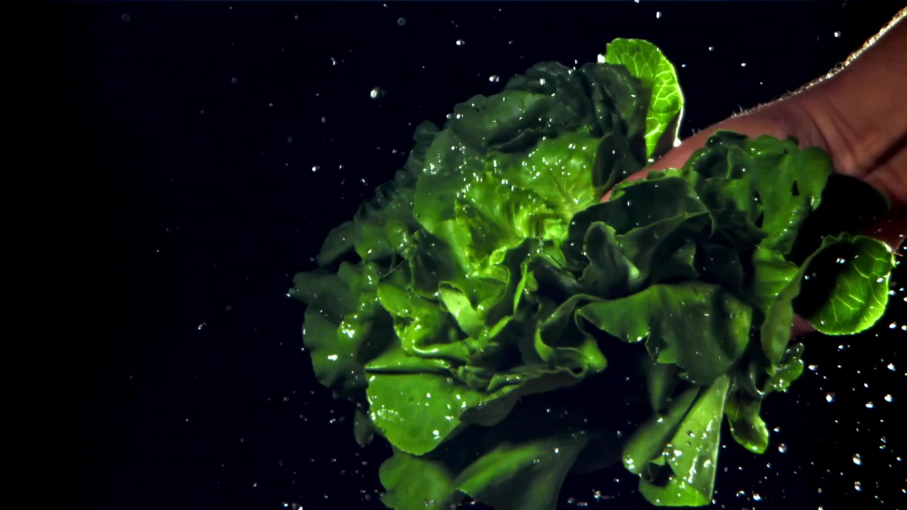 Lavaggio a mano di lattuga verde fresca con goccioline d'acqua al rallentatore