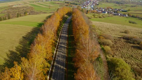 Empty-Road-Between-The-Trees-During-Autumn-Near-The-Slovakian-Village-In-Daytime