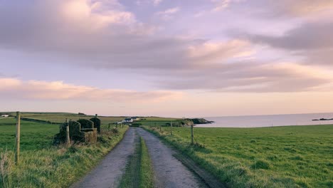 Calm-winter-morning-on-farmland-Ireland-with-sunrise-over-ocean