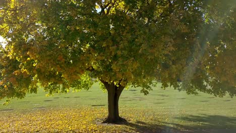 beautiful fall afternoon overlooking a small midwestern town