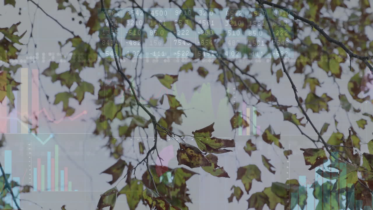 Flat design autumn branches carrying green and brown leaves while showing animated financial charts