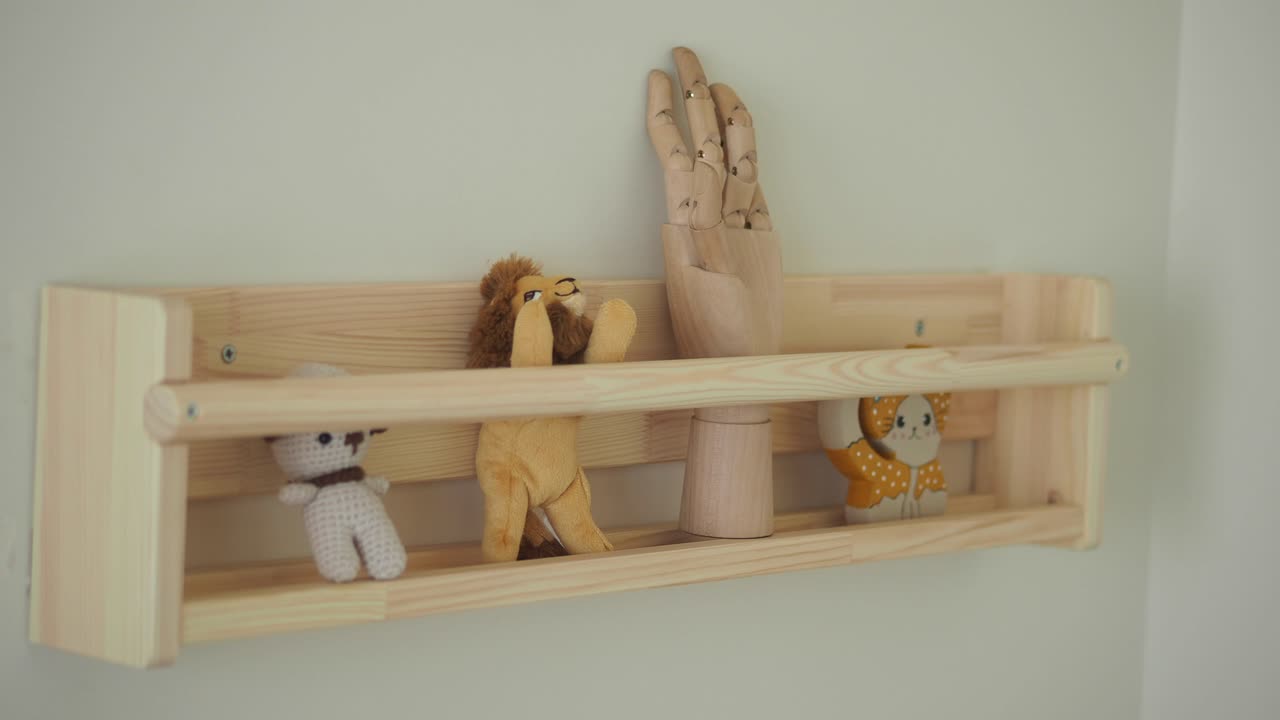 Shelf with Toys and Wooden Hand