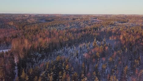 Imágenes-Aéreas-De-árboles-Nevados-De-Invierno-Con-Sol-Y-Naranjos-Rojos-Y-Pinos