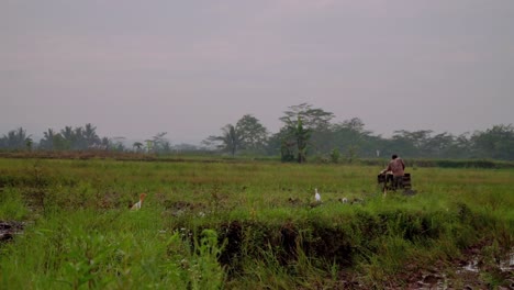 indonesian farmer with machinery working on rice field - farmer with field plow machine