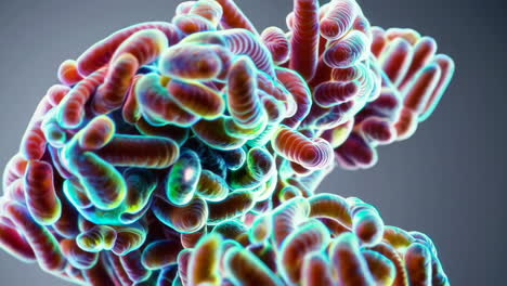 vibrant microscopic organisms
