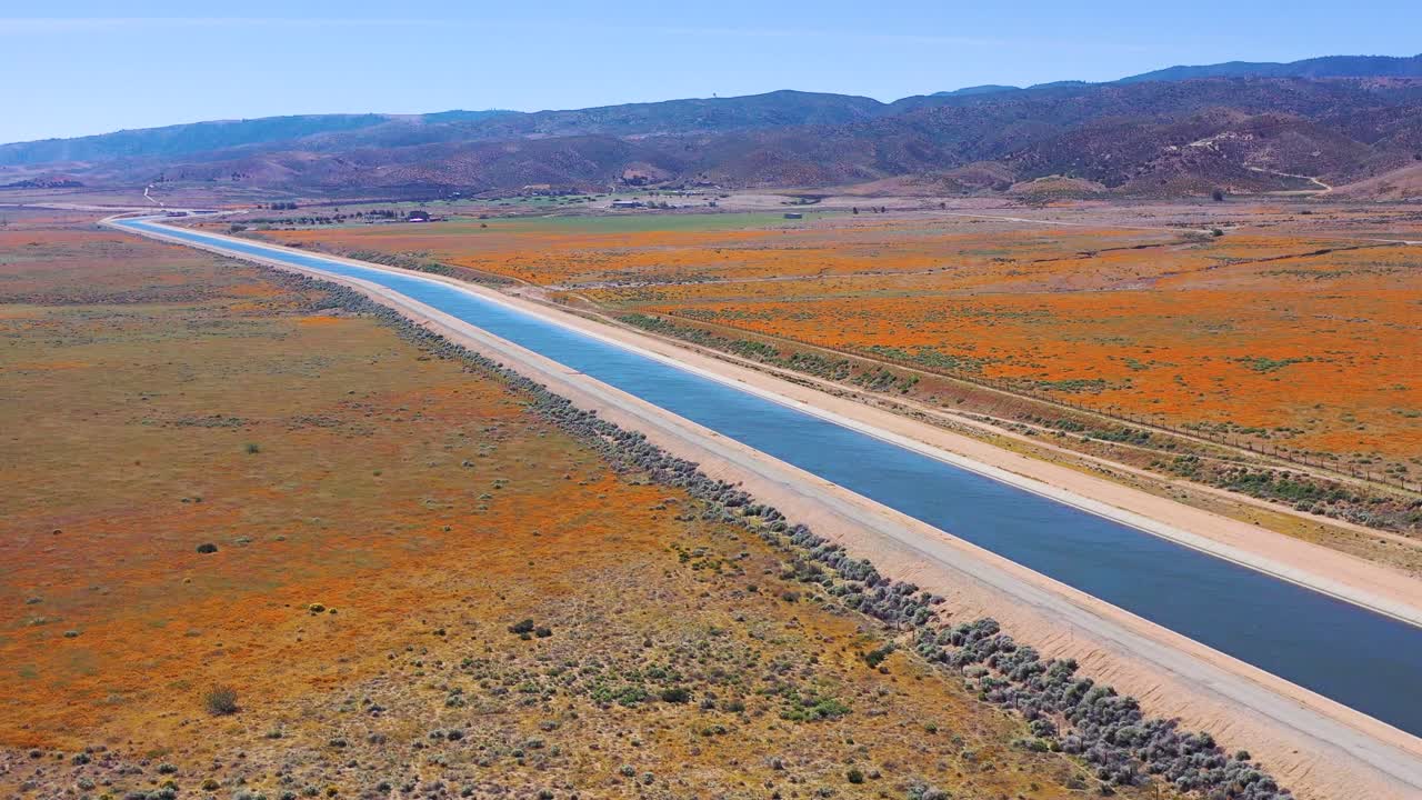 야생화와 양귀비 꽃으로 둘러싸인 캘리포니아 수로의 공중 모하비 사막 3