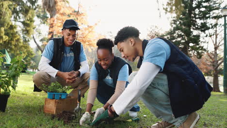 group of volunteers planting trees in a park