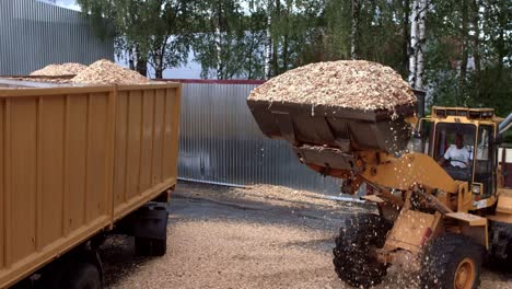 Wheel-front-loader-unloading-sawdust-into-heavy-dump-truck.-Waste-on-sawmill