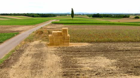 Heap-Of-Straw-Hay-Bale-In-Rural-Field-By-The-Road