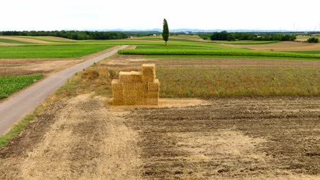 montón de balas de heno de paja en el campo rural junto a la carretera
