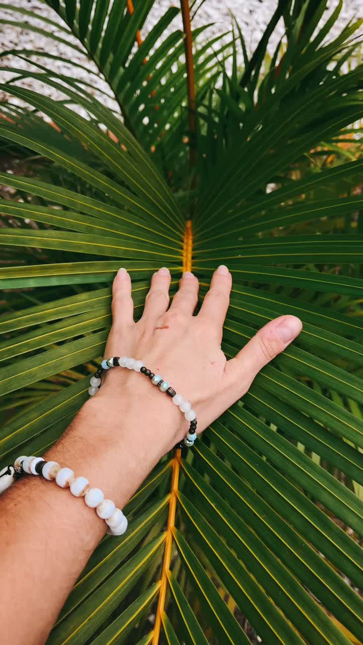 Hand touching palm leaf