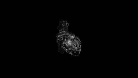 3d heart in hologram wireframe style